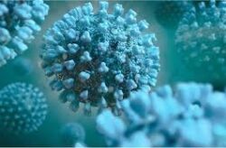 Emerging Respiratory Viruses, Novel Coronavirus